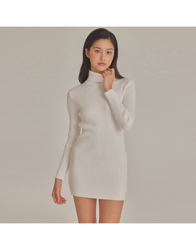 RIBBED HIGH NECK KNIT MINI DRESS_T423DS500