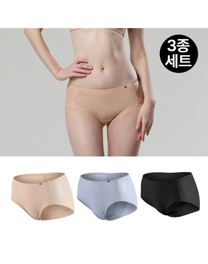 [제임스딘] (3종세트) 여성 자카드 맥시 햄팬티